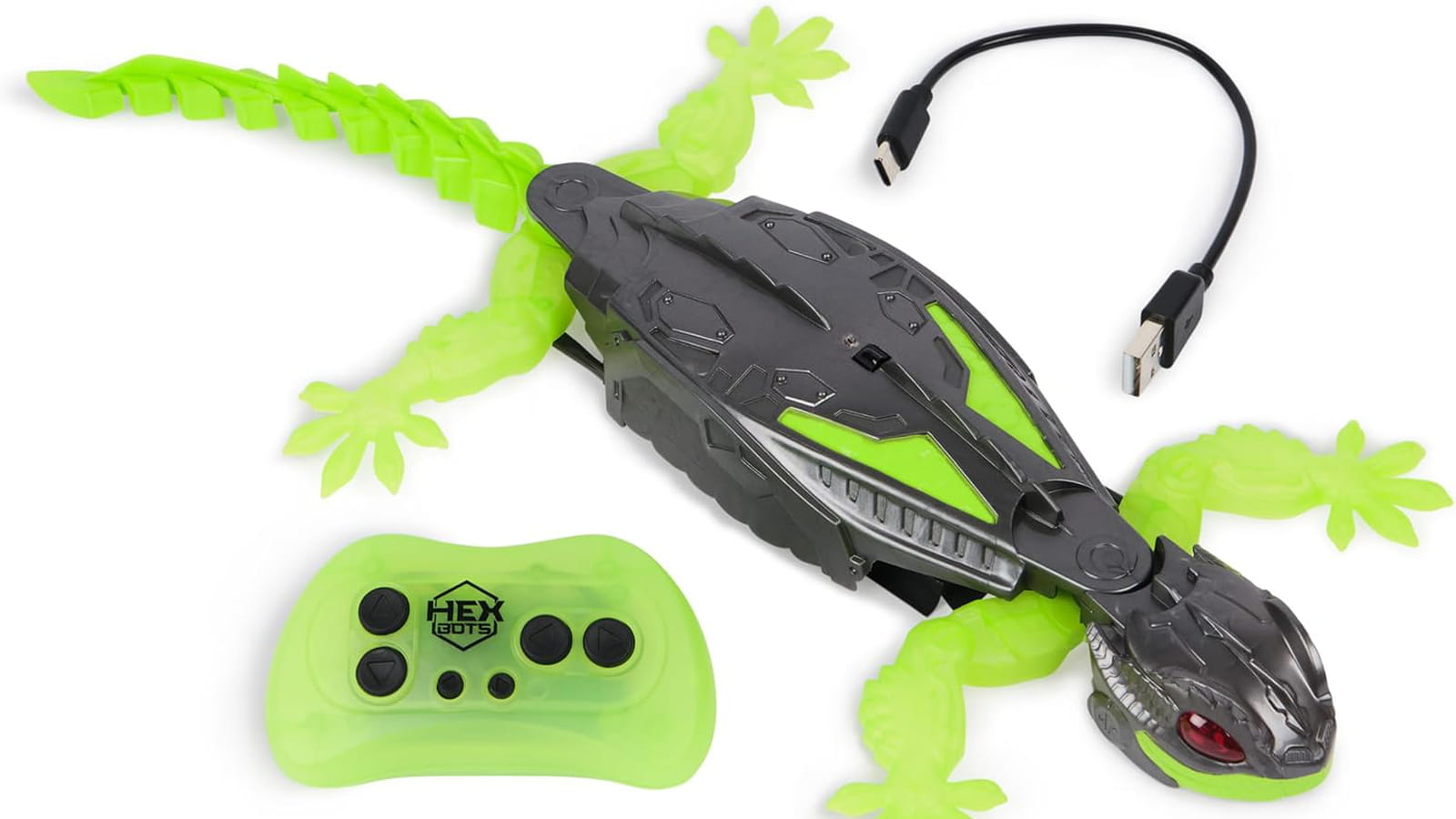 Gecko