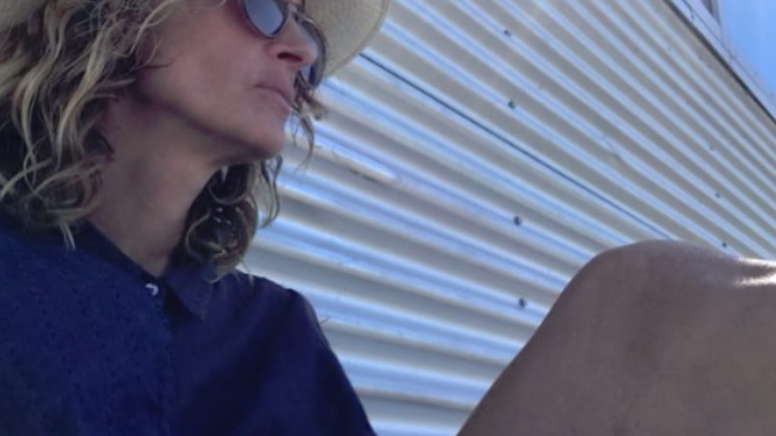 Julia Roberts