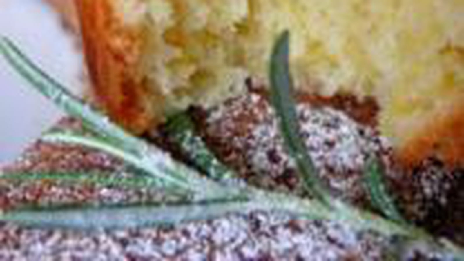 Cake citron, pignons, huile d'olive et romarin