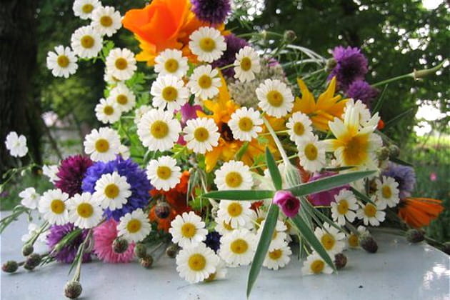 Le plaisir de faire un bouquet