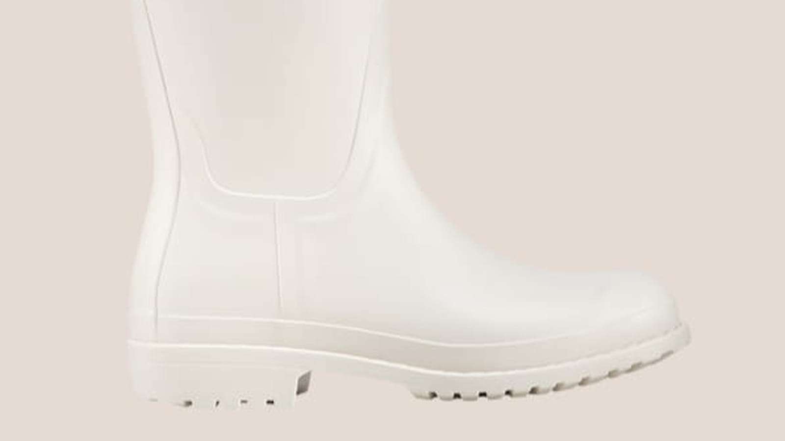 Bottes Longchamp 