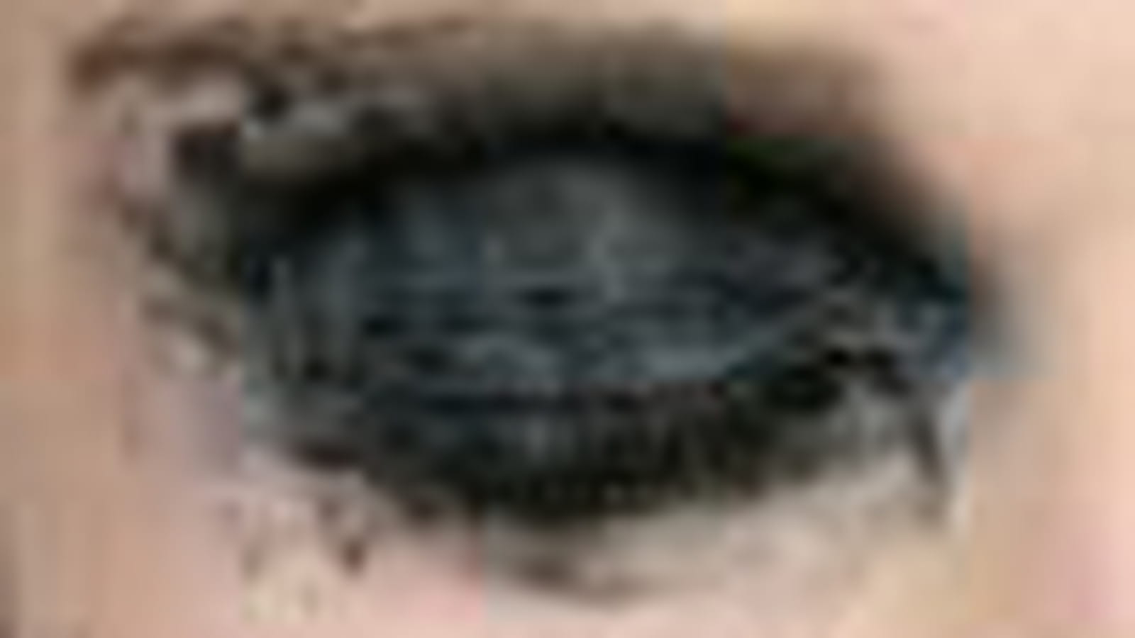Mascara