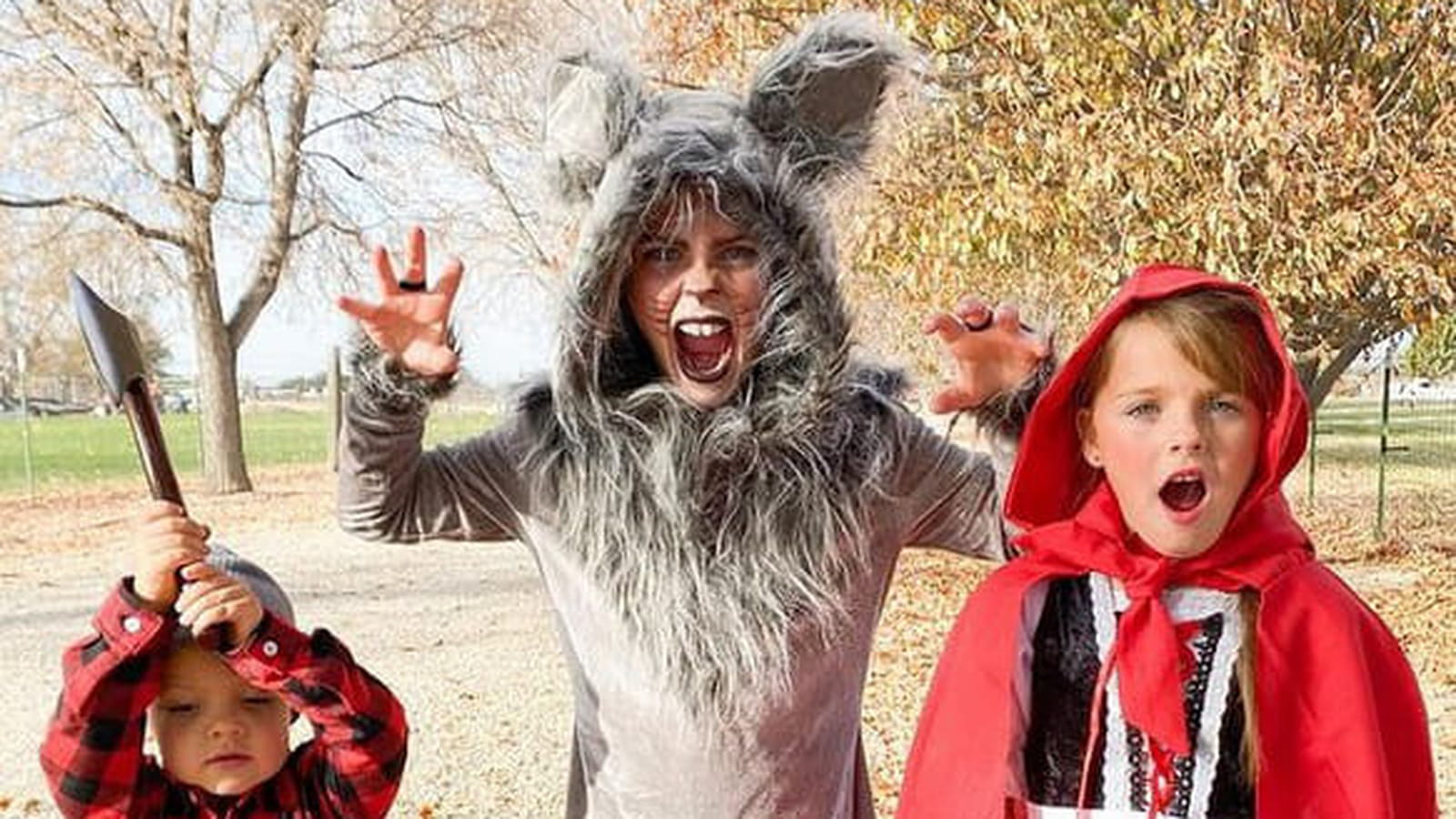 En loup du Petit Chaperon Rouge