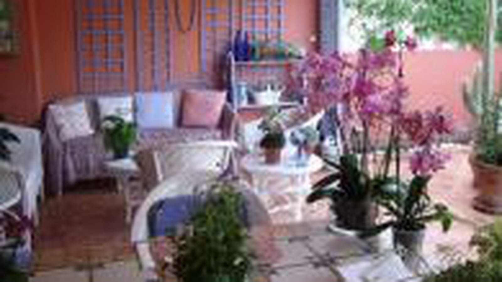 Terrasse à Ténérife