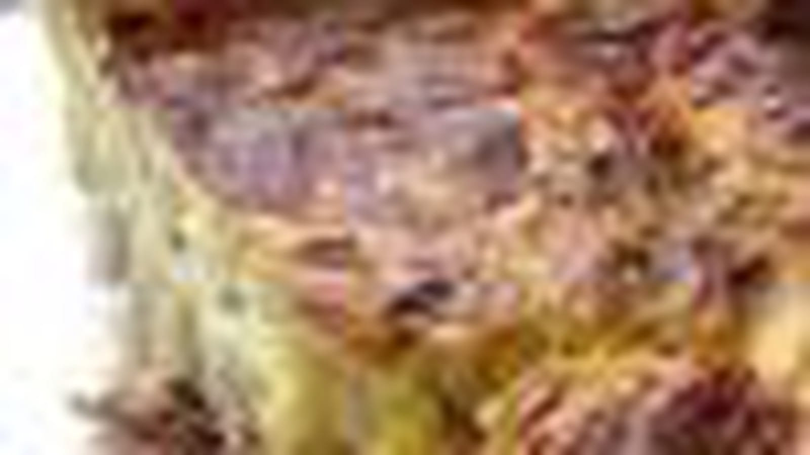 Tourte