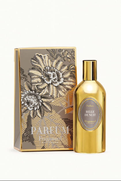 Belle de Nuit - Fragonard