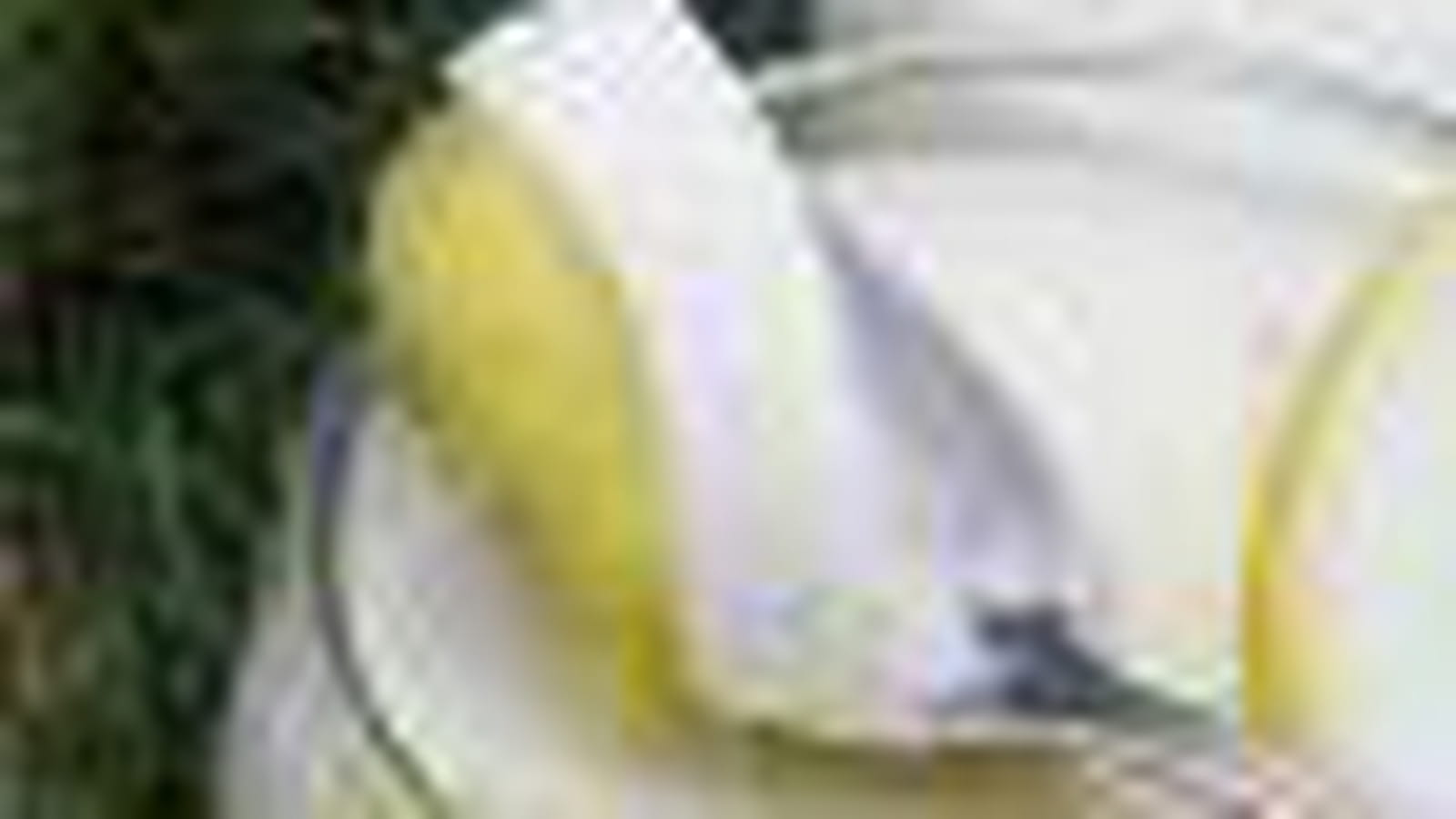 Panna cotta