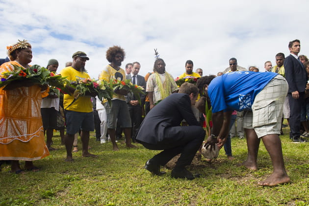 Toujours à jardiner...