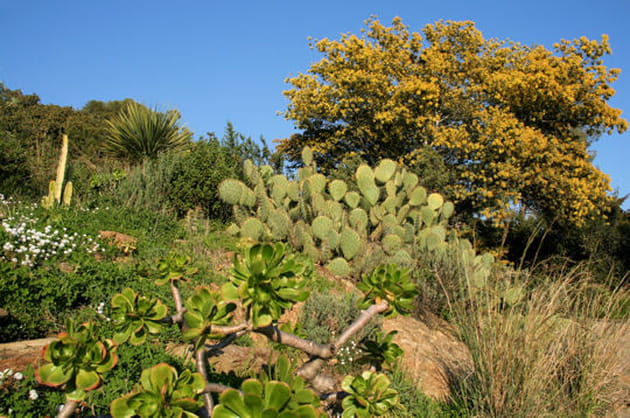 Du côté de l'Amérique aride
