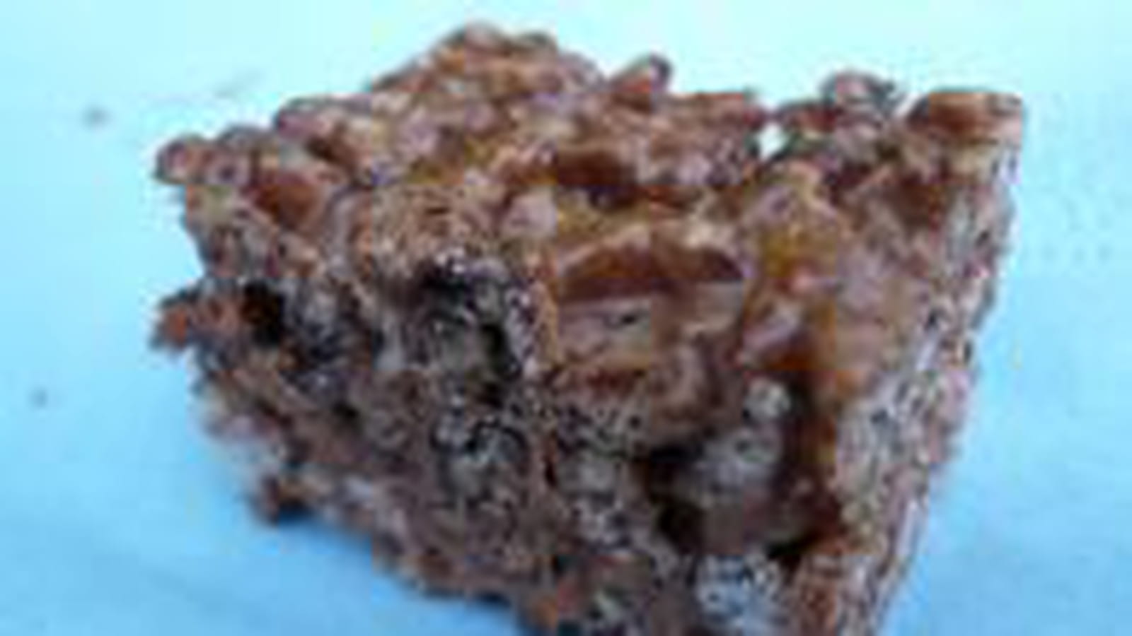 Barre chocolatée au riz soufflé