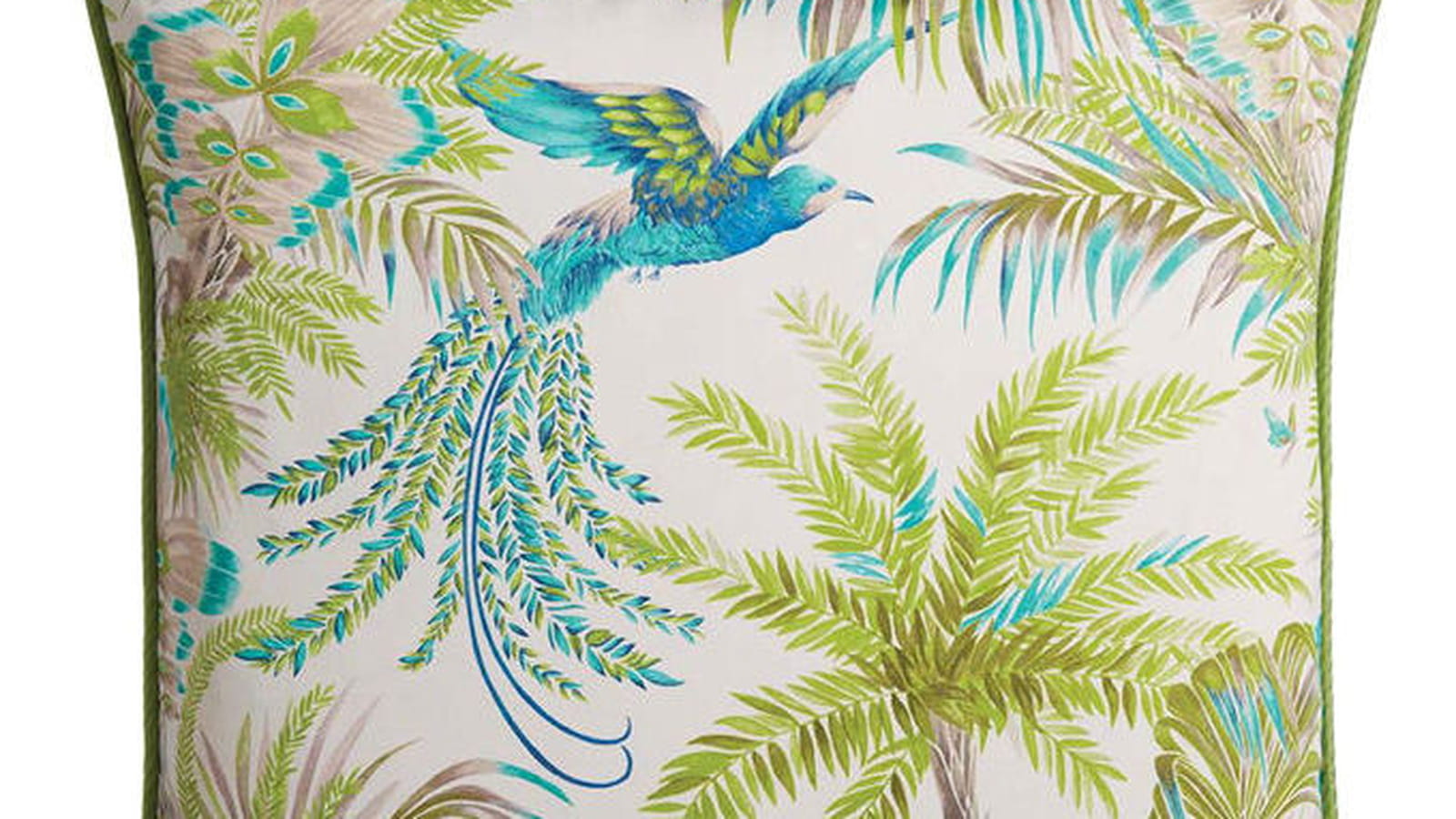 Oiseaux du paradis
