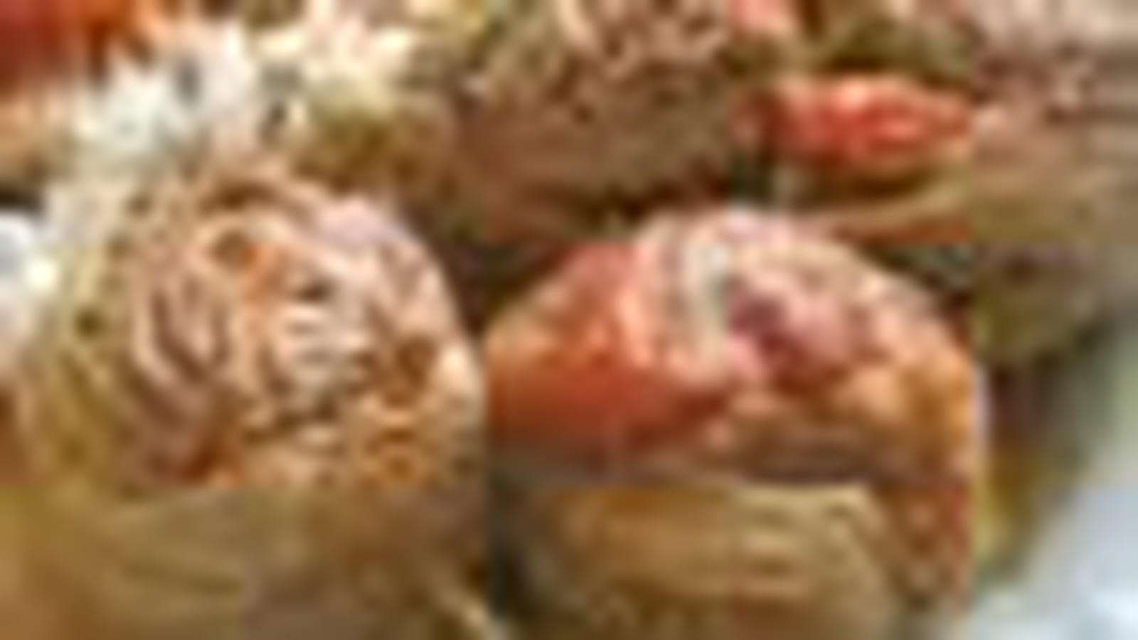 Saltimbocca