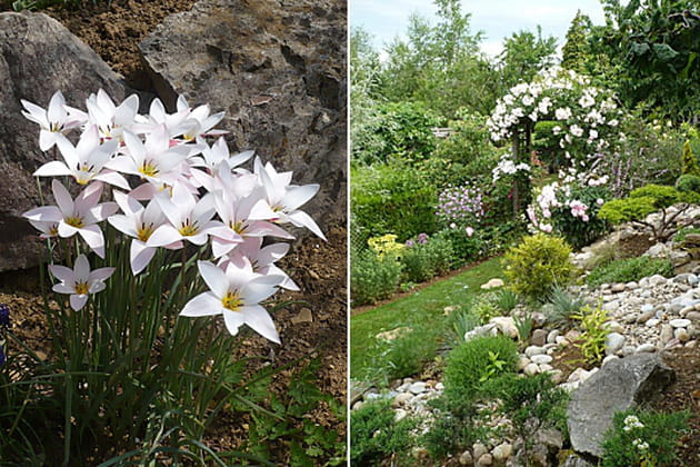 L'&eacute;l&eacute;gance ind&eacute;modable des fleurs blanches