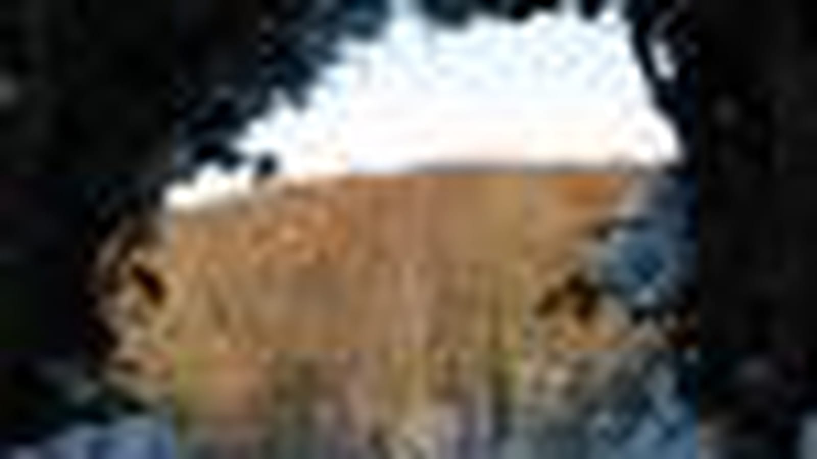 Aux alentours