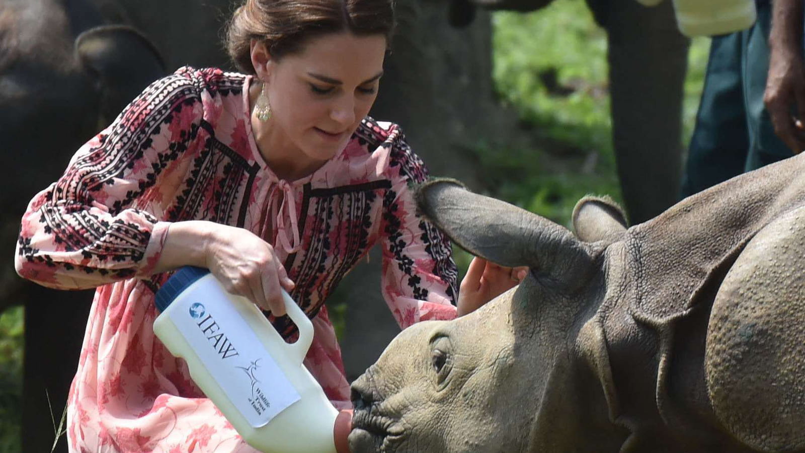 Avec un rhinocéros