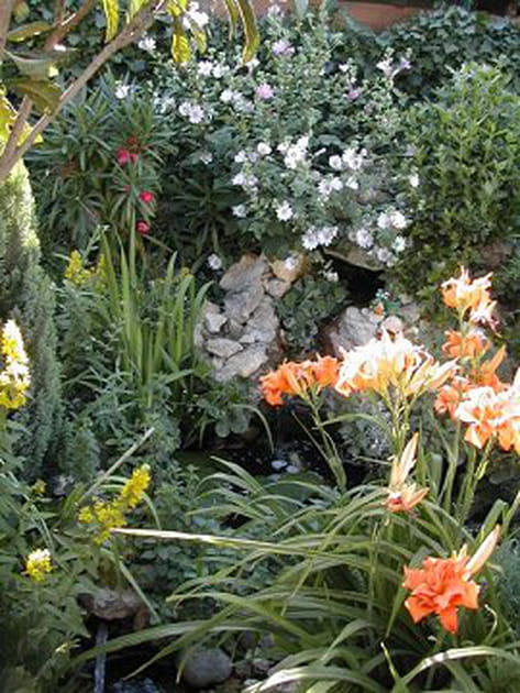 Une cascade bien fleurie