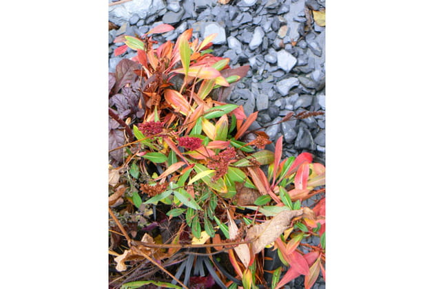 Mille et une couleurs