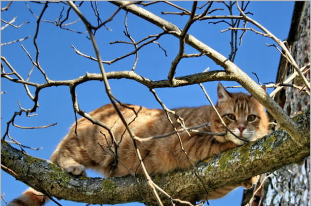 N'insiste pas&nbsp;!