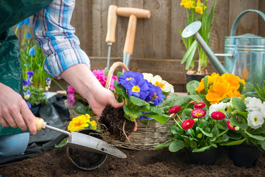 Pesticides, jardin bio : les habitudes des Français à la loupe