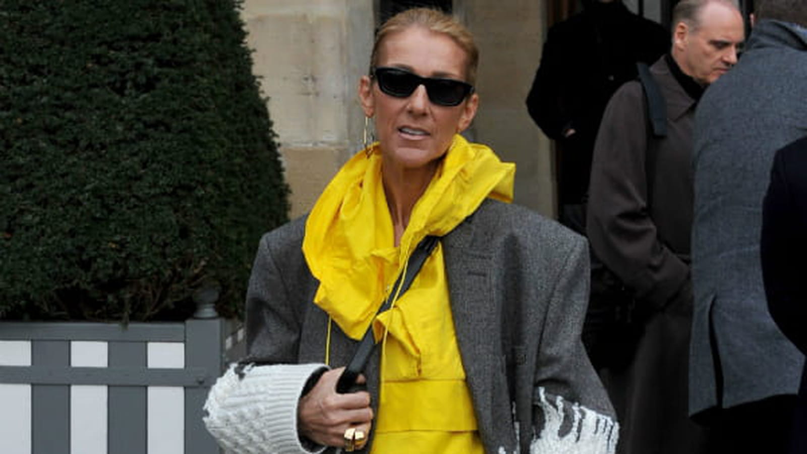 Céline Dion le 29 janvier 2019