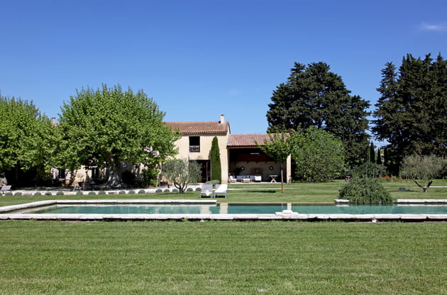 Un cypr&egrave;s pour habiller la fa&ccedil;ade