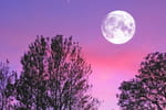 La Pleine Lune la plus brillante de l'année arrive : une rareté astronomique qui n'a lieu que tous les 17 ans