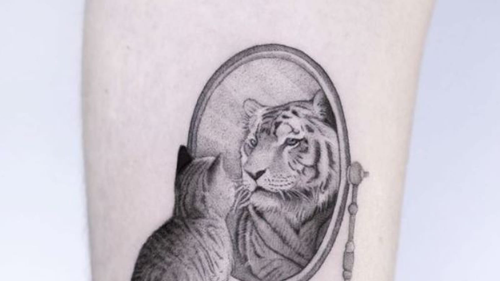 Tigre et chat sur la jambe