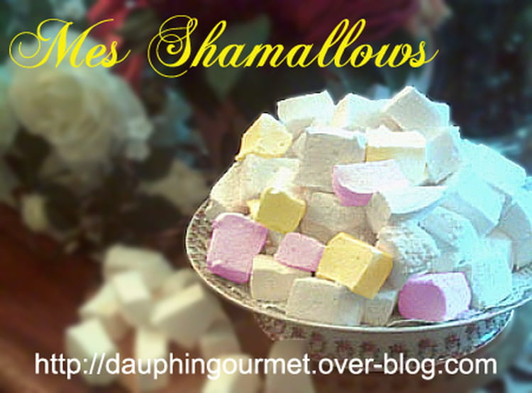 Recette De Shamallows Pate De Guimauve