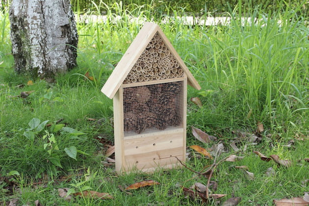 H&ocirc;tel &agrave; insectes maison