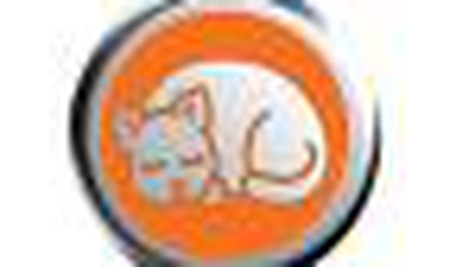 Médaille chien et chat