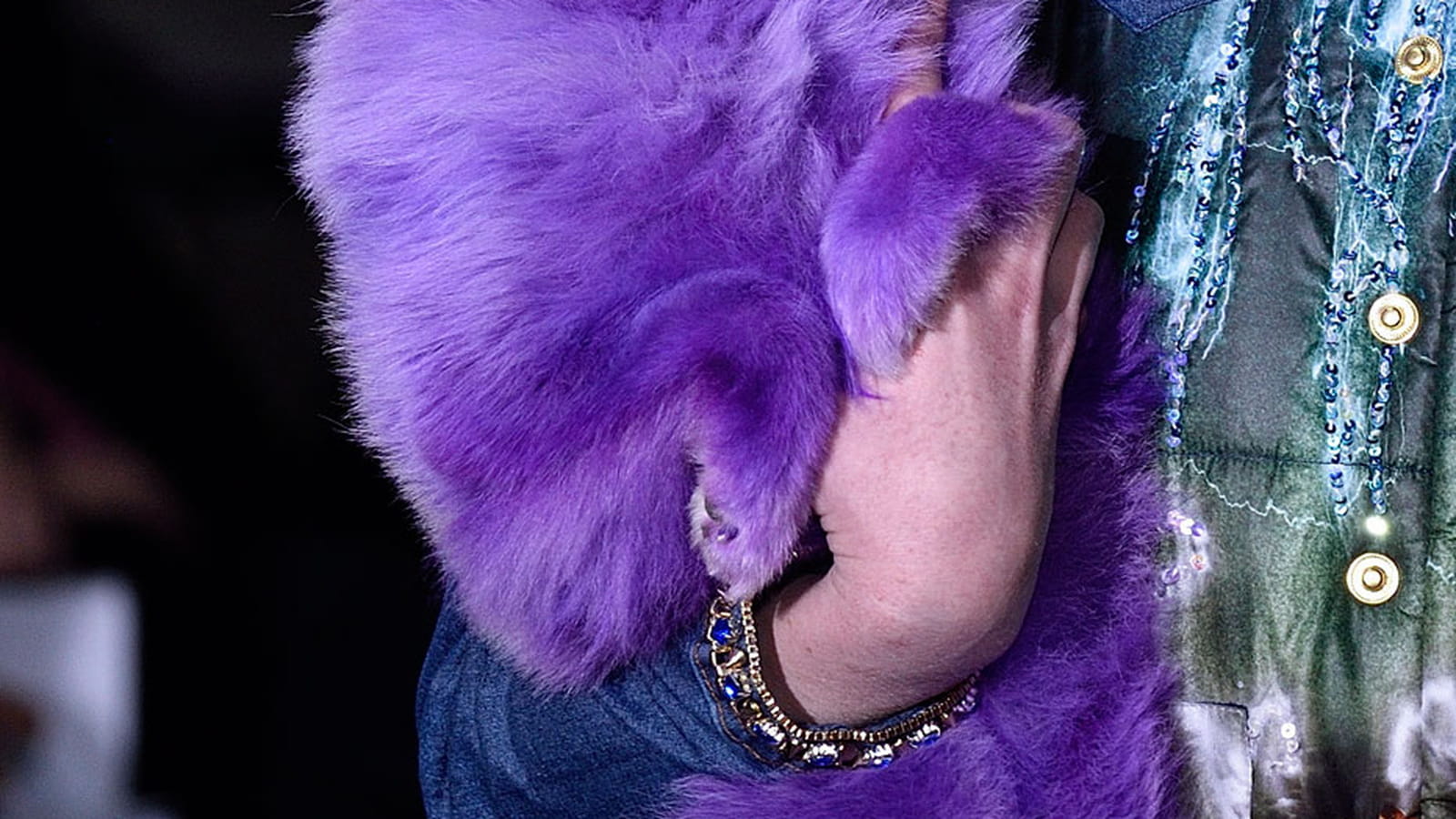 Chien violet Manish Arora