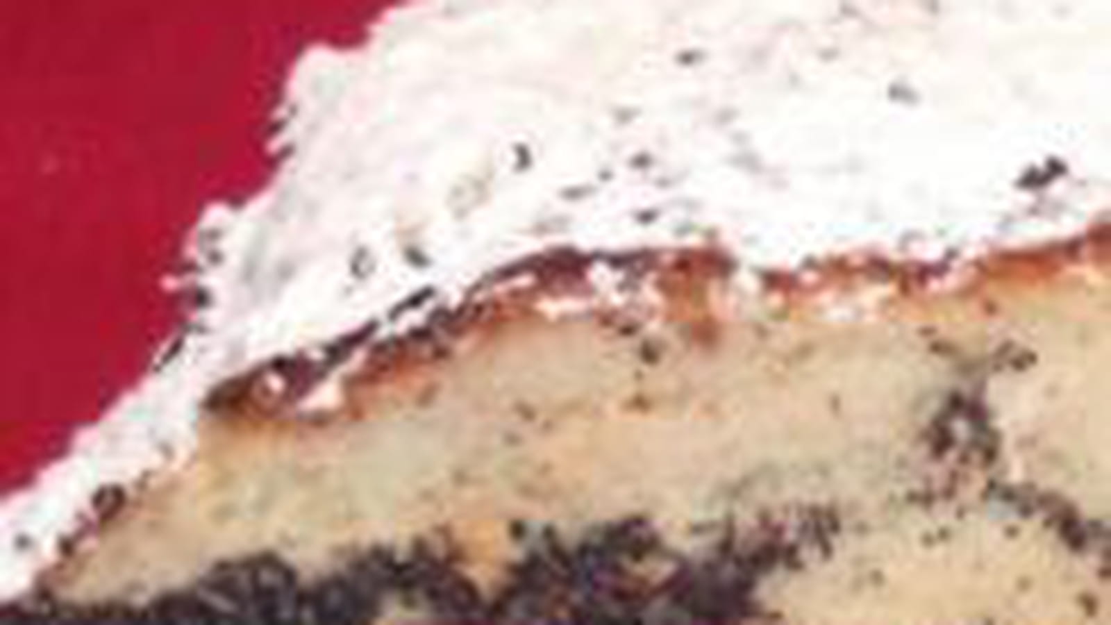Pain au pavot