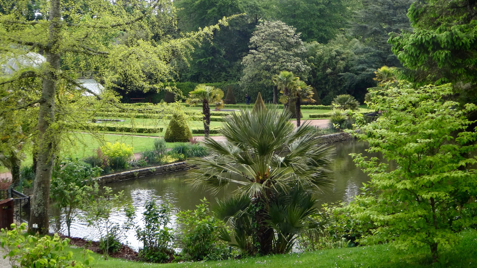 Plantes exotiques
