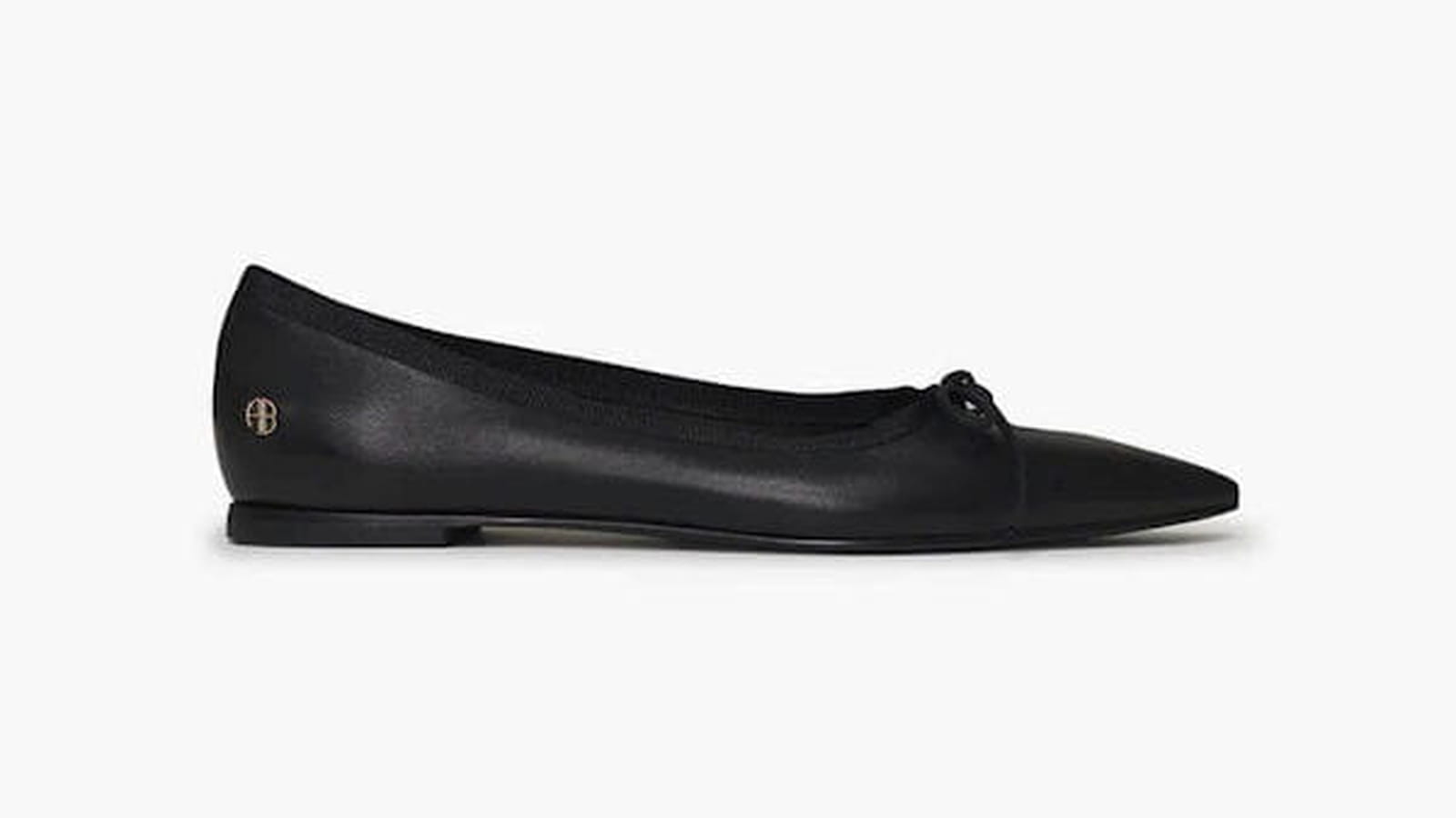 Ballerines Anine Bing