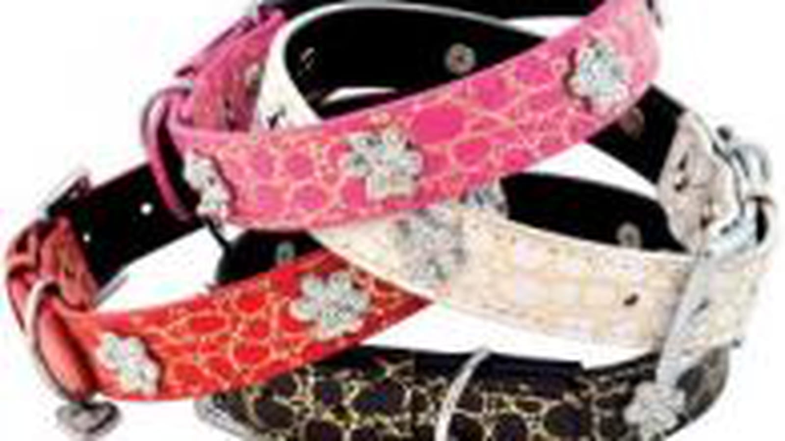 Collier pour chien