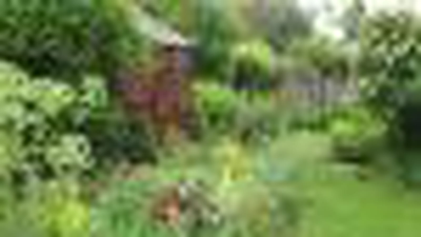 Jardin de la Ninette