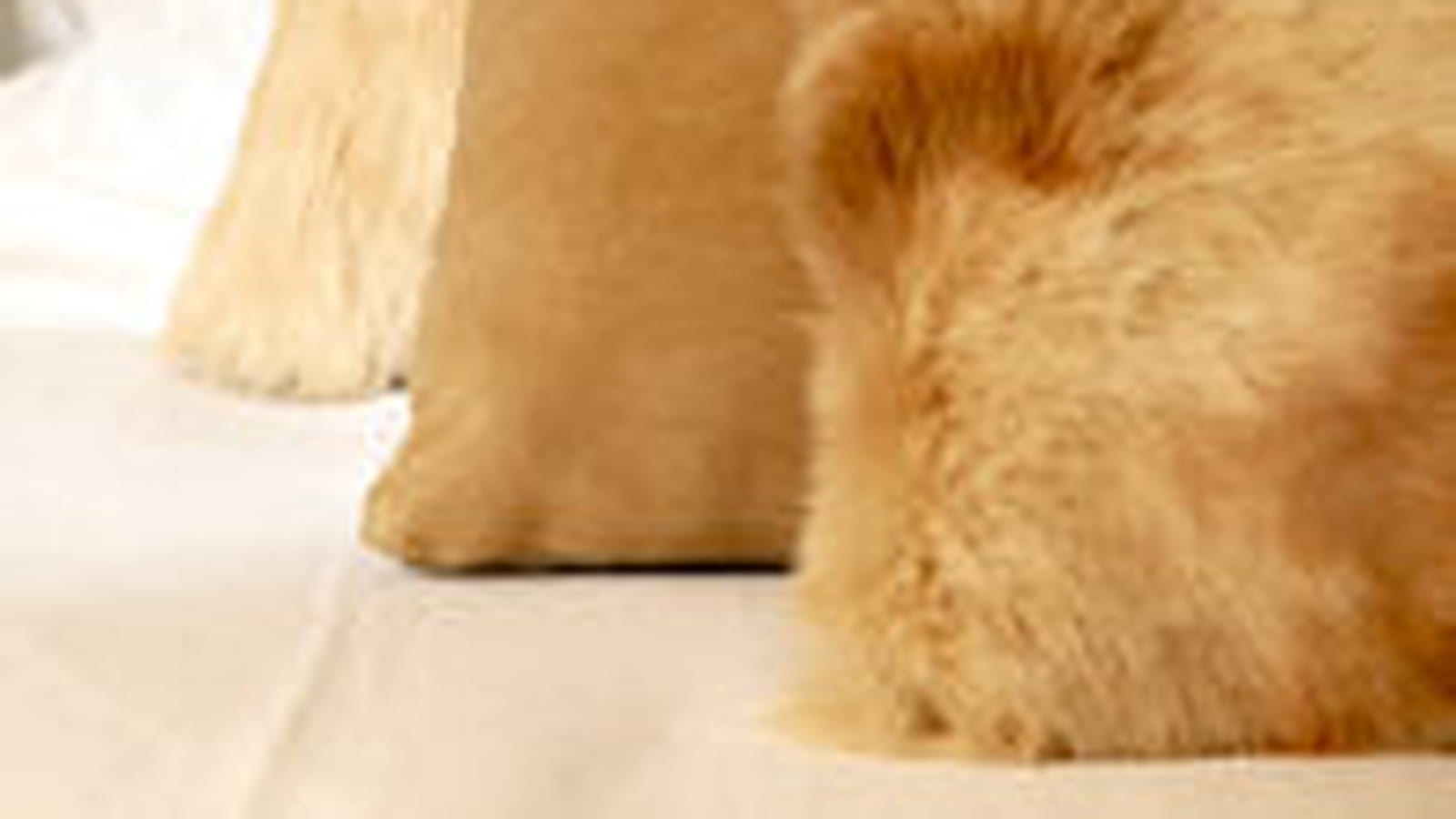 Coussins en fausse fourrure
