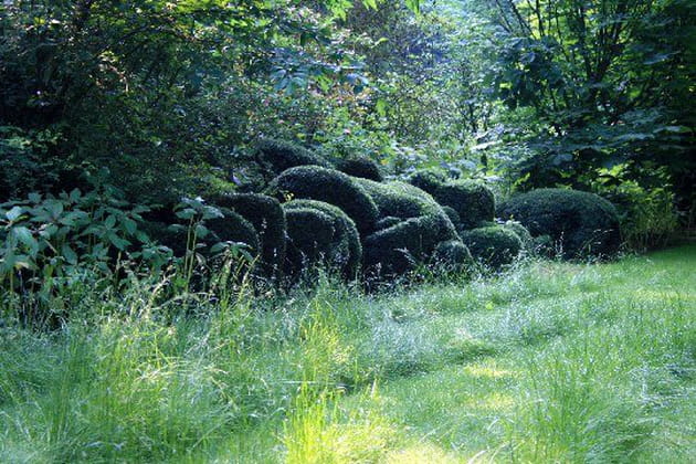 Des vagues enherbées