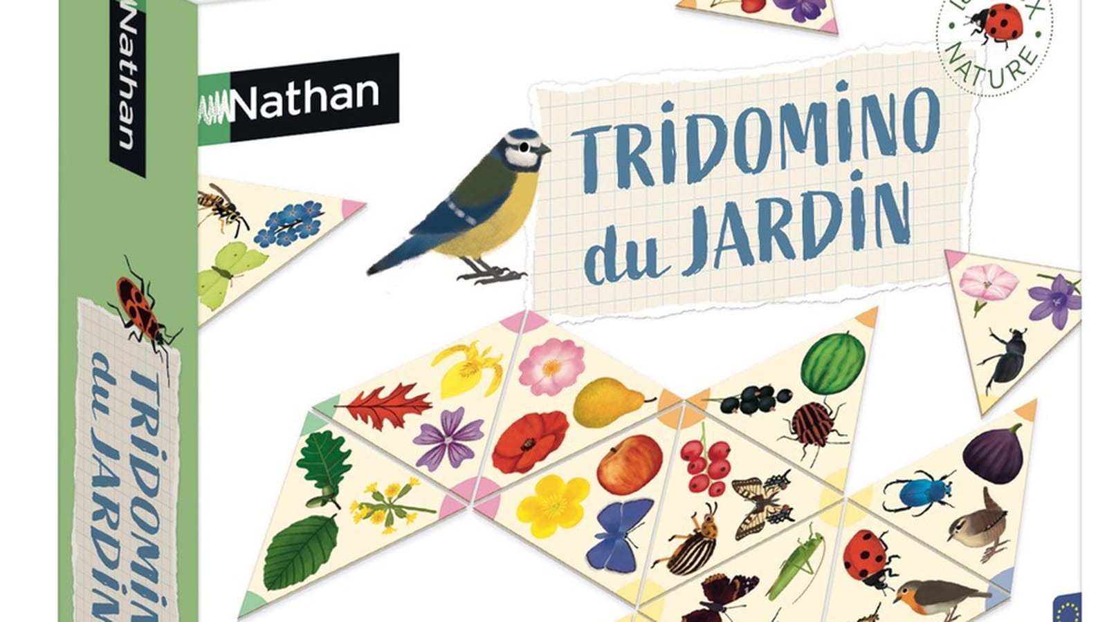 Tridomino du jardin, Nathan