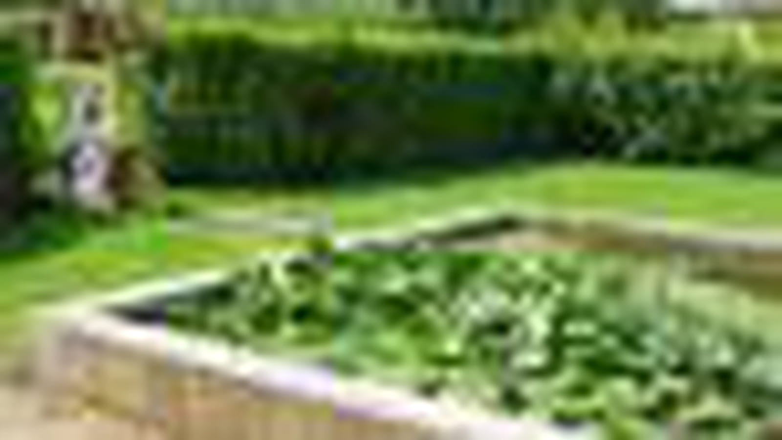 Jardin