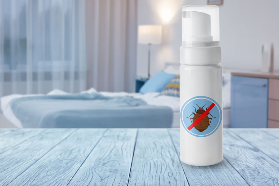 Produit anti-acarien : housse, matelas, naturel, comment traiter son lit ?