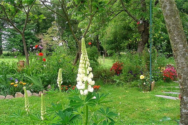 La poésie est au jardin