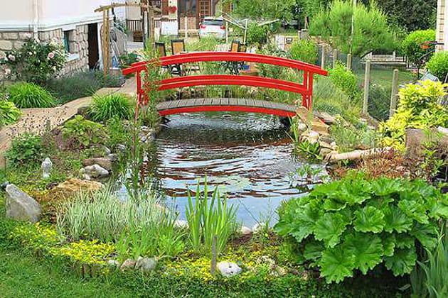 L'été autour du bassin