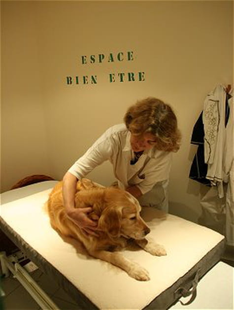 Un massage, s'il vous plait&nbsp;!