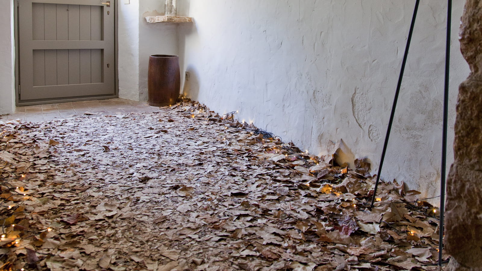 Feuilles mortes