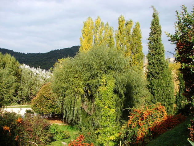 Une v&eacute;g&eacute;tation luxuriante