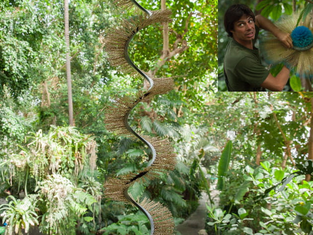 Alexis Tricoire et ses Hybridations délirantes