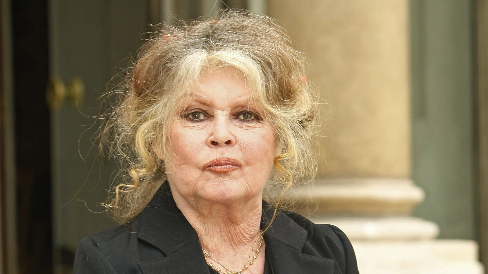 Brigitte Bardot 