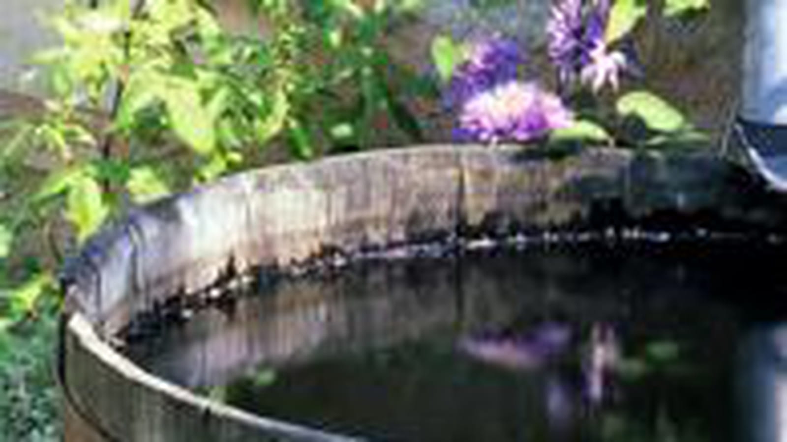 Bassin de récupération d'eau