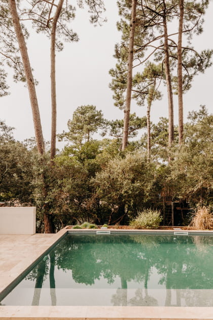 Apr&egrave;s&nbsp;: une terrasse avec piscine dans les pins